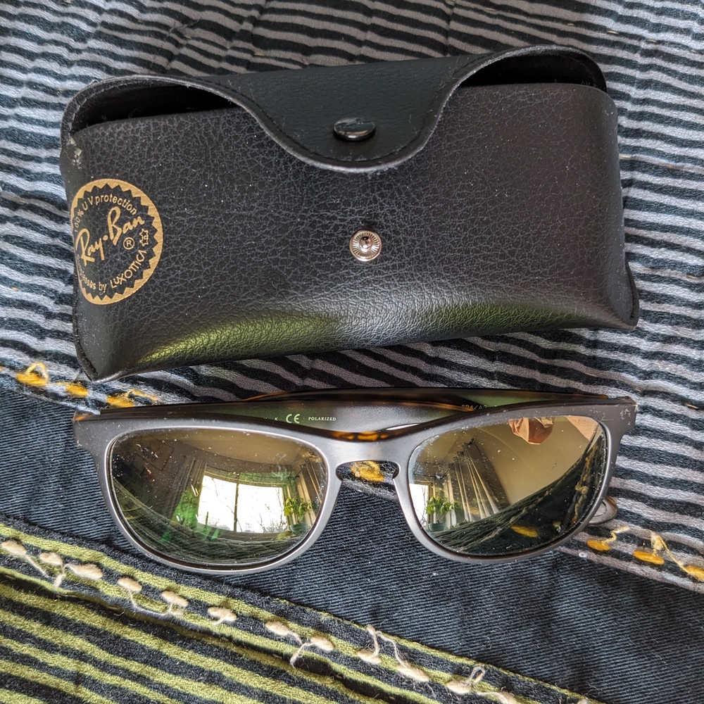 Ray-Ban Black Sunglasses with Case